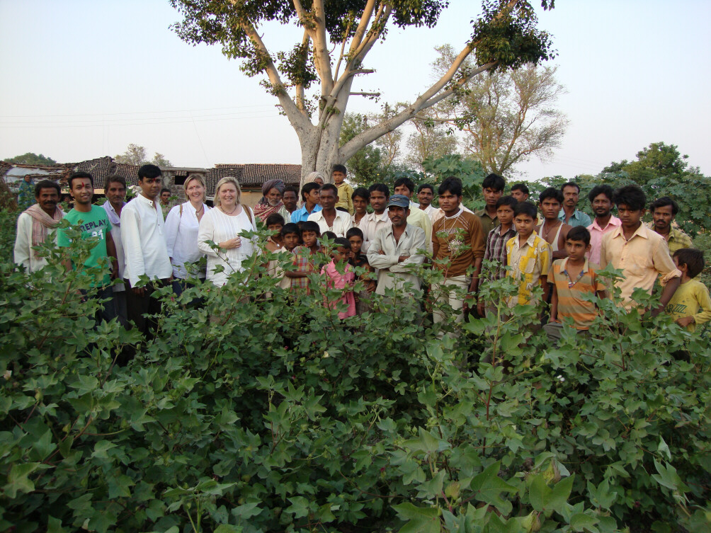 Cotton Farmers India