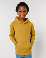 Kids Mini Cruiser 2.0 iconic hoodie sweatshirt (STSK180)