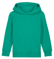 Kids Mini Cruiser 2.0 iconic hoodie sweatshirt (STSK180)